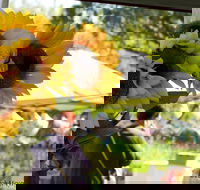 Blackville Arts and Market Day - Pubs Adelaide