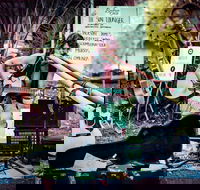 Buskers by the Lake - Pubs Adelaide