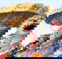 Campbelltown City Festival of Fisher's Ghost - Pubs Adelaide