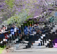 Celtic Festival of Queensland - Pubs Adelaide