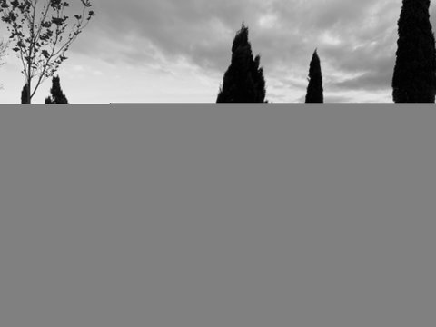 Cheese And Wine Experience - Pubs Adelaide 1