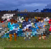 Cinema Under The Stars - Pubs Adelaide