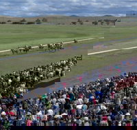 Cooma Sundowners Cup - Pubs Adelaide