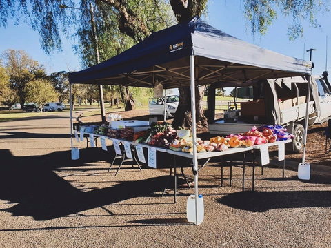 Cootamundra Girl Guides Markets - Pubs Adelaide 0