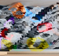 Cuttle-Rock Challenge - CUTTLEFEST 2020 - Whyalla - Pubs Adelaide