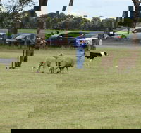 Dean Sheepdog Trials - Old Sniff Classic - Pubs Adelaide