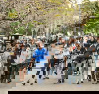 Diabetes Australia Walk to Work Day-Sydney - Pubs Adelaide