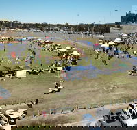 Dogs In the Park Swansea - Pubs Adelaide