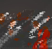 Eggner Trio and Diana Doherty - Pubs Adelaide