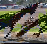 Forbes Show - Pubs Adelaide