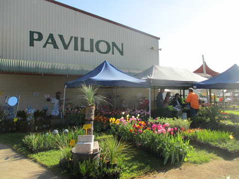 Gippsland Garden And Home Expo-Drouin Lions Club - Pubs Adelaide 0