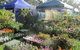 Gippsland Garden And Home Expo-Drouin Lions Club - thumb 1