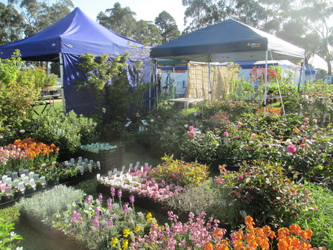 Gippsland Garden And Home Expo-Drouin Lions Club - Pubs Adelaide 1