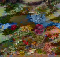 Glenrock Gardens Open Garden - Pubs Adelaide