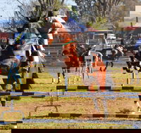 Glen Innes Pastoral and Agricultural Show - Pubs Adelaide