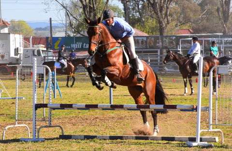 Glen Innes Pastoral And Agricultural Show - Pubs Adelaide 0