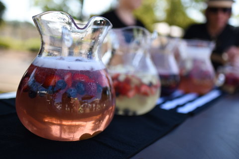 Griffith Spring Fest - LINX Launch Party - Pubs Adelaide 2