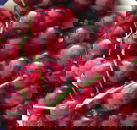 Griffith Rotary Market - Pubs Adelaide