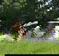 High Country Writers Festival - Pubs Adelaide