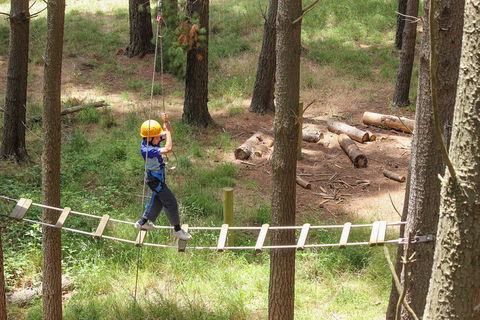 July 2020 Holidays- Go Wild At The Mt Lofty Adventure Hub - Pubs Adelaide 0