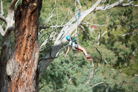 July 2020 Holidays- Go Wild At The Mt Lofty Adventure Hub - Pubs Adelaide 1