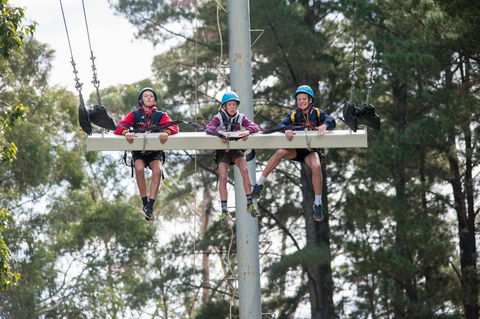 July 2020 Holidays- Go Wild At The Mt Lofty Adventure Hub - Pubs Adelaide 2