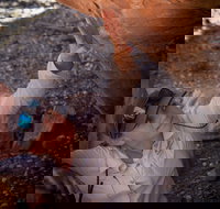 Learn all about Australia's Hidden Treasures - The Kimberley - Pubs Adelaide