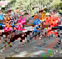 MAAS Group Dubbo Stampede Running Festival - Pubs Adelaide