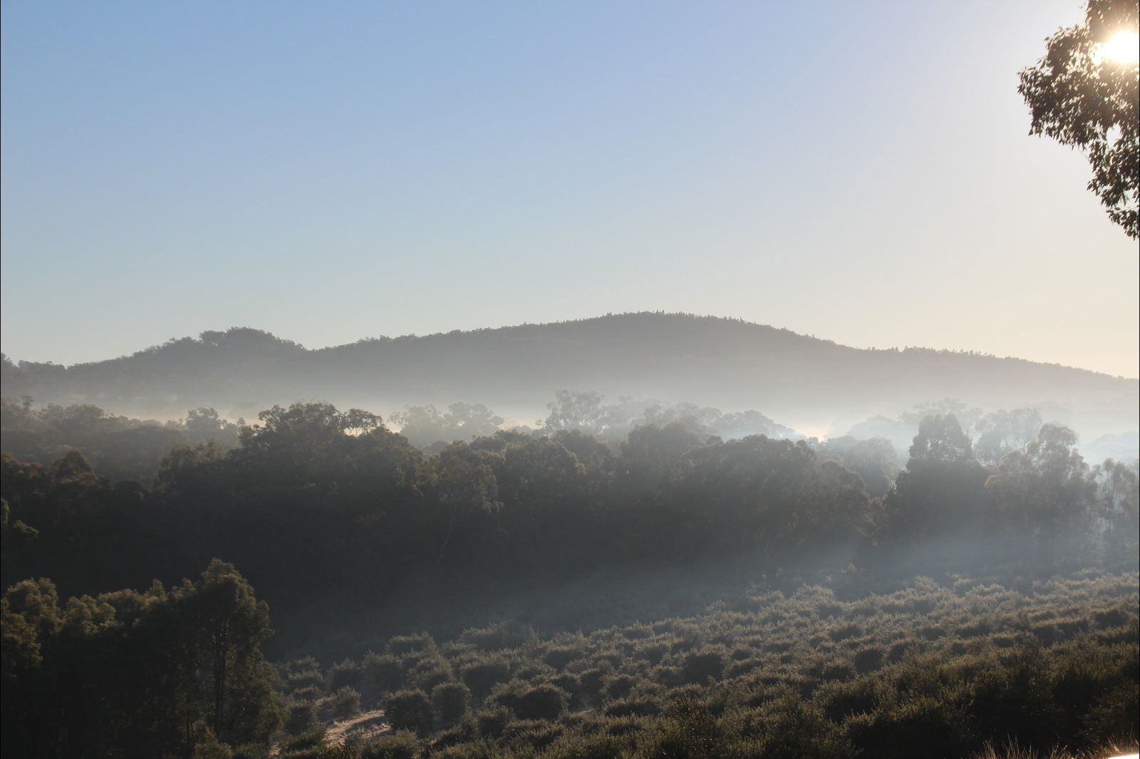 Frog Rock NSW Pubs Adelaide