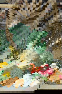 Mulgowie Real Farmers Markets