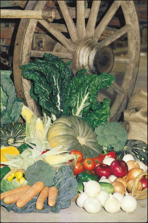 Mulgowie Real Farmers Markets - Pubs Adelaide 0