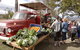 Murphys Creek Markets - thumb 0
