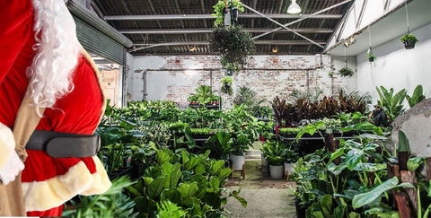 Newcastle - Huge Indoor Plant Warehouse Sale - Christmas Bonanza - Pubs Adelaide 0