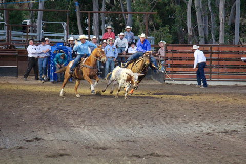 North Queensland Elite Rodeo - Pubs Adelaide 0