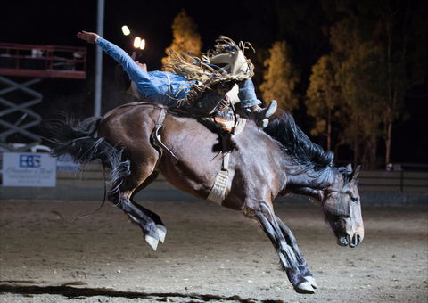 North Queensland Elite Rodeo - Pubs Adelaide 1