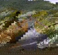 Online exhibition recess presents