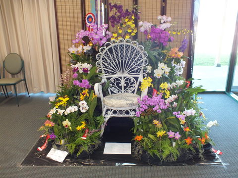 Orchids Out West - Pubs Adelaide 0