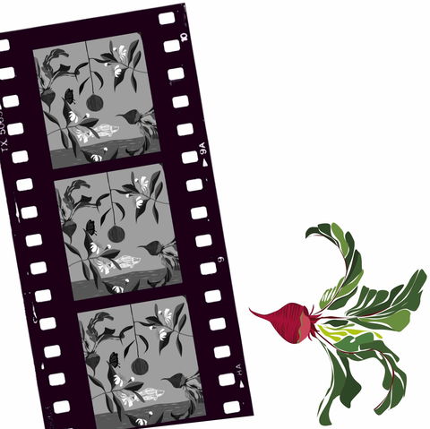 Oseanica Film Project - Pubs Adelaide 0