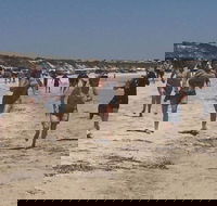 Perlubie Beach Sports Day - Pubs Adelaide