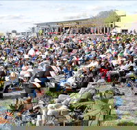 Riverfest Food Wine and Music Festival - Pubs Adelaide