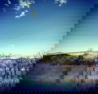 Scenic Rim Ultra - Pubs Adelaide