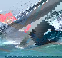 SeaLink Magnetic Island Race Week - Pubs Adelaide