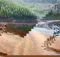 SEVEN - Australia's Premier Gravel Race - Pubs Adelaide