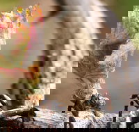 Spring Seasonal Lunch - Pubs Adelaide