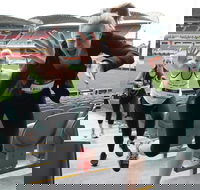 Stadium Stomp Adelaide Oval - Postponed - Pubs Adelaide
