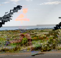 SunSmart Busselton Festival of Triathlon - Pubs Adelaide