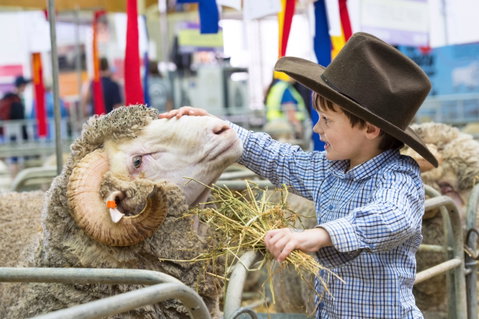 Sydney Royal Easter Show - Pubs Adelaide 0