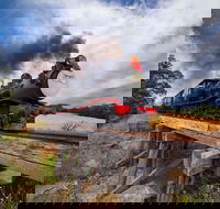 The Bellarine Railway Santa Train Specials - Pubs Adelaide