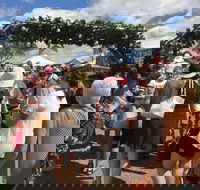 The Christmas Fair Mount Penang Gardens Kariong - Pubs Adelaide