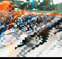 Triathlon NSW Sprint Series Kurnell January - Pubs Adelaide